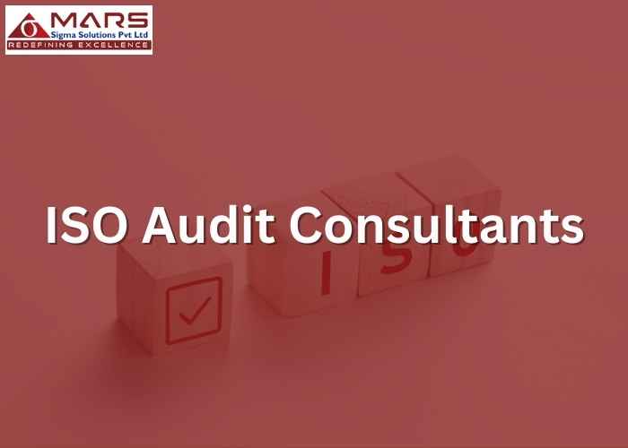 ISO Audit Consultants