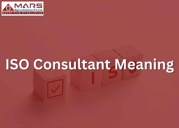 ISO Consultant Meaning