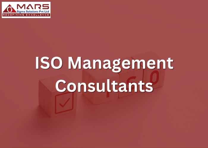 ISO Management Consultants