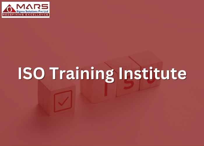 Comprehensive ISO Training for Institutes