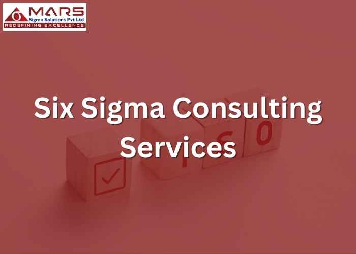 SIX Sigma Consulting Services