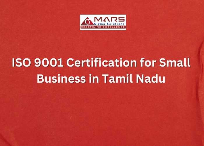 ISO 9001 certification for software company in Tamil Nadu